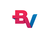 1200px-bv_novo_logo